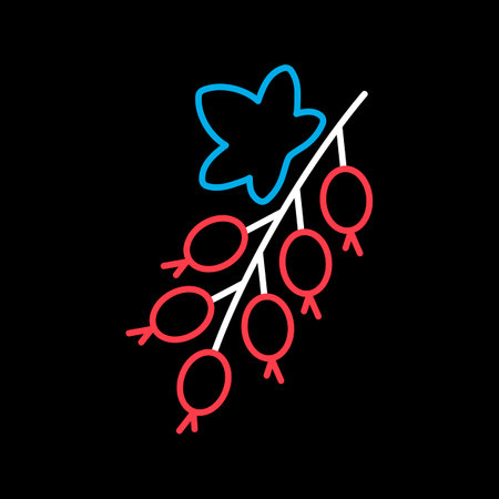 Currant berry vector on black background icon. Graph symbol for food and drinks web site, apps design, mobile apps and print media, logo, UIのイラスト素材