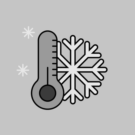 Thermometer and snowflake vector isolated grayscale icon. Thermometer cold. winter sign. Graph symbol for travel and tourism web site and apps design, app, UIのイラスト素材