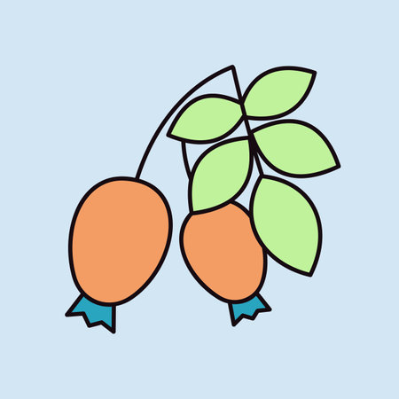 Rose hip berries and leaves vector icon. Graph symbol for food and drinks web site, apps design, mobile apps and print media, logo, UIのイラスト素材