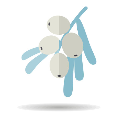 Sea buckthorn berry vector icon. Graph symbol for food and drinks web site, apps design, mobile apps and print media, logo, UIのイラスト素材