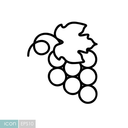 A simple line art icon of a bunch of grapes. This illustration is perfect for food, beverage, and healthy drink-related designs, symbolizing natural and organic products.のイラスト素材