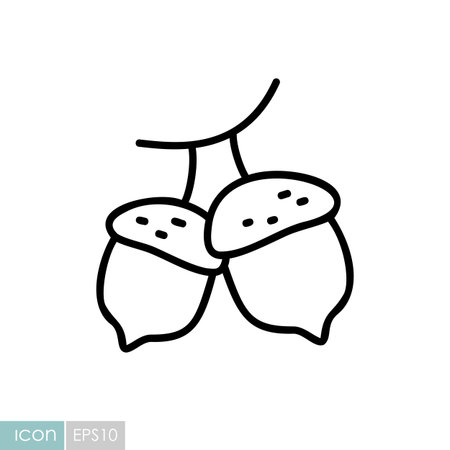 A simple line art icon of two acorns. This illustration is perfect for conveying themes of nature, forest, autumn, and the bounty of the harvest season.のイラスト素材