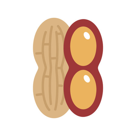 Peanut isolated design vector icon. Vegetable sign. Graph symbol for food and drinks web site, apps design, mobile apps and print media, logo, UIのイラスト素材