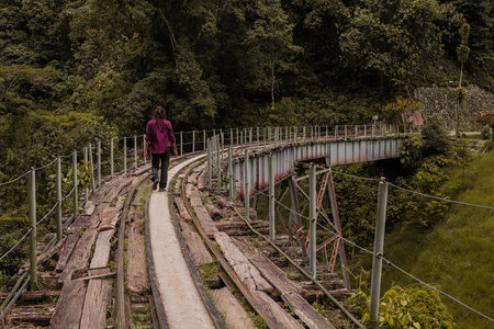 A woman walks along a wooden pedestrian bridge in the rainforest of Bali, Indonesia.