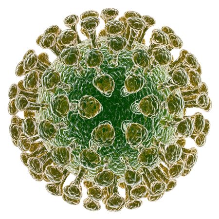 Coronavirus isolated on white backgroundの写真素材