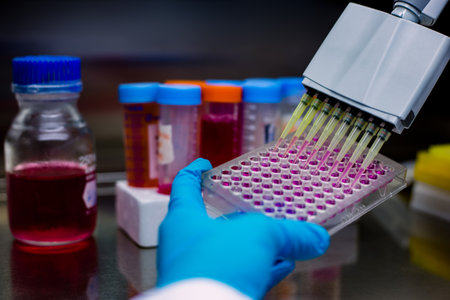 Scientist using micropipette or multi pipette in sample preparation for bioassay of in vitro cells on microplate, 96 well.の写真素材