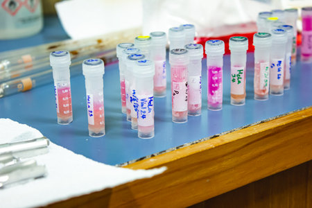 Closeup, cultures cancer cells in cryovial tubes taken from liquid nitrogen infusion to prepare drug tests for anticancer in the laboratory. Research and drug development, Medical, Pharmaceutical, Biochemistry.の写真素材