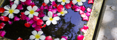 white Plumeria and roses floating on water basinの写真素材