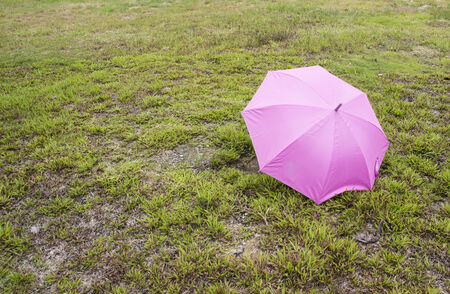 pink umbrella on lawn yard in rainy dayの写真素材