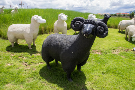black and white sheep statue for adornmentの写真素材