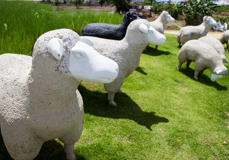 black and white sheep statue for adornmentの写真素材
