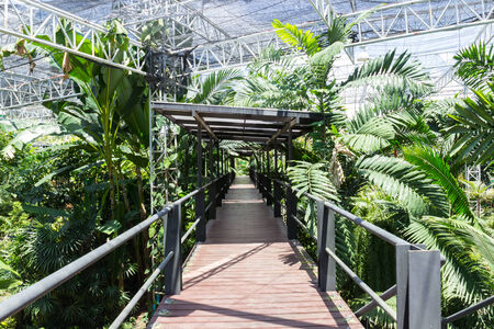 the wooden bridge in the indoor botanical parkの写真素材