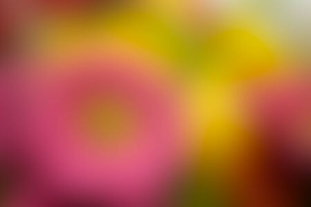 the blurry image of pink, yellow and green tone abtract for backgroundの写真素材