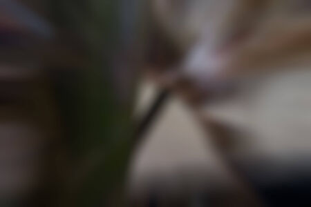 the blurry image of black, white and green color tone abstract for backgroundの写真素材