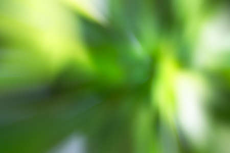 the abstract of green and white color tone for backgroundの写真素材