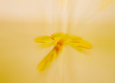 the blurry image of yellow arrow for abstract backgroundの写真素材