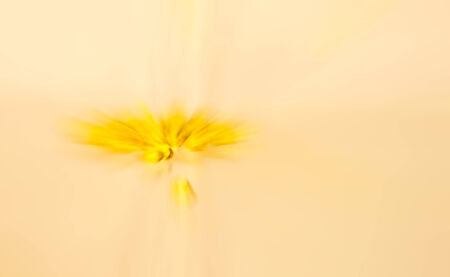 orange and yellow color tone radial motion blur illustration abstract for backgroundの写真素材