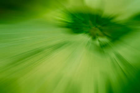 green color tone radial motion blur illustration abstract  of door shape for backgroundの写真素材