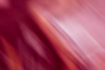 the abstract of pink,orange,red color tone  illustration for backgroundの写真素材