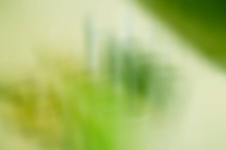 the abstract of green color tone illustration for backgroundの写真素材