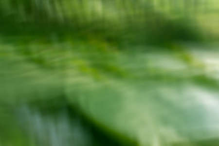 the abstract of green color tone illustration for backgroundの写真素材