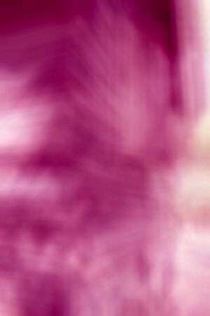 the abstract of pink,purple color tone illustration for backgroundの写真素材