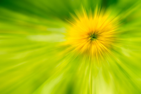 the abstract of yellow, green color tone illustration for backgroundの写真素材