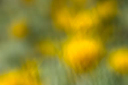 the abstract of yellow, green color tone illustration for backgroundの写真素材