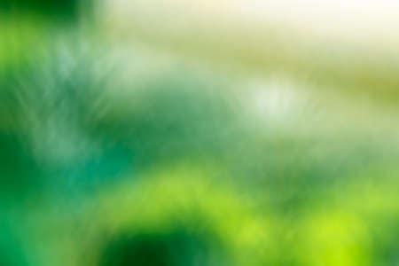 the abstract of yellow, green color tone illustration for backgroundの写真素材