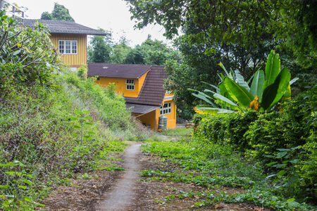 walkway to old yellow wooden house in countryside of Thailandのeditorial素材