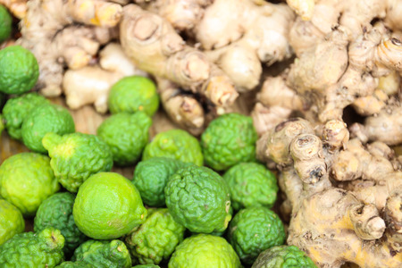 kaffir lime and galangal, ingredient for thailand traditional recipeの写真素材