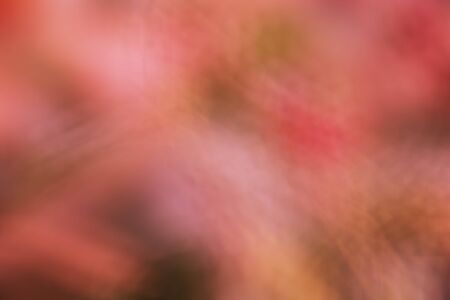 the abstract of orange color tone illustration for backgroundの写真素材