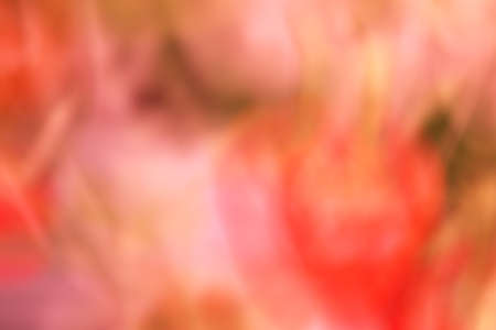 the abstract of pink, orange color tone illustration for backgroundの写真素材