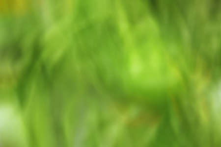 the abstract of green color tone illustration for backgroundの写真素材