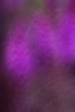 the abstract of purple color tone illustration for backgroundの写真素材