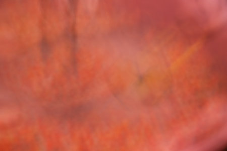 the abstract of orange, red color tone illustration for backgroundの写真素材