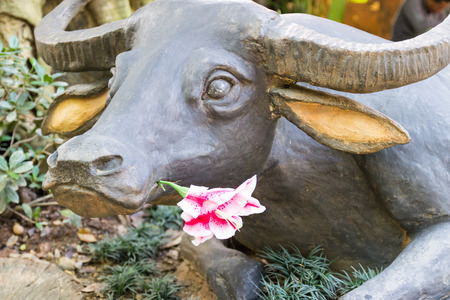 Uttaradit, Thailand - December 19, 2014: Asian buffalo statue with fake flower in the mouth decorating in Lomyen restaurant for  tourist taking picture.のeditorial素材