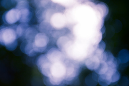 bokeh defocused of light through leaves for abstract background, purple tone in hilight and blue tone in shadowの写真素材
