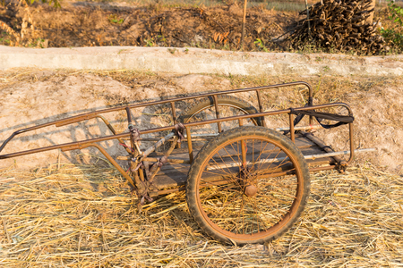 old wooden handcart in rice paddy fieldの写真素材