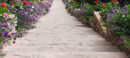 flowerbed and hedge beside the stair in the garden