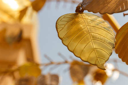 golden metal sheet in bo leaf shape decorating in asian templeの写真素材