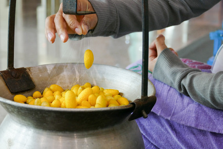 Chiang Mai, Thailand - August 28, 2015: The girl is demonstrating how to produce silk floss yarn from cocoon at Chiang Mai International Exhibition and Convention Centre.のeditorial素材
