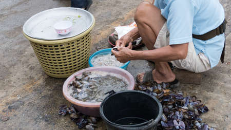 Nakhon Si Thammarat, Thailand - July 31, 2015: man prepare shellfish for sale in the local market in Sichon district.の写真素材