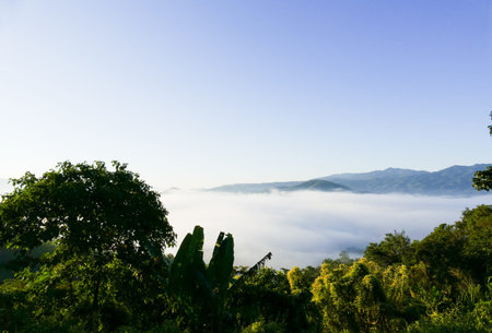 sea of mist and fog on the mountain in the morningの写真素材