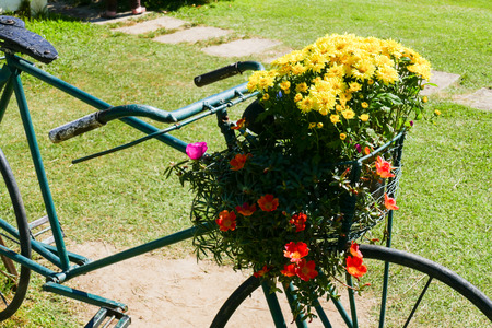 green bicycle with yellow flower in the basket on lawn yardの写真素材