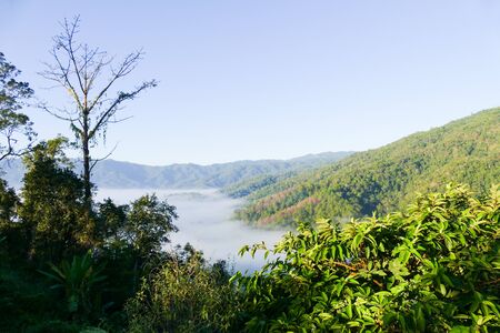sea of mist and fog on the mountain in the morningの写真素材
