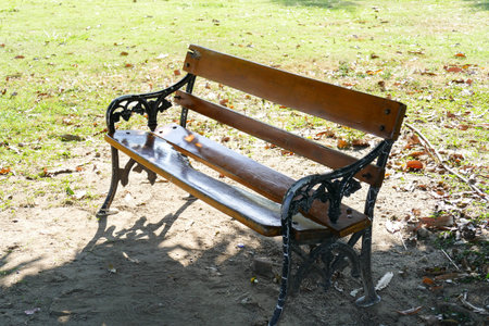 wooden bench in the shade of big tree in the garden