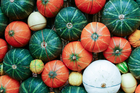 white, green and orange pumpkin, gourd for abstract texture background