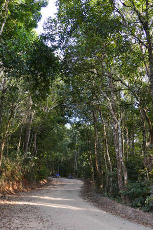 Chiang Mai, Thailand - December 21, 2015: The tourist drive wooden  rickshaw go down the hill in Monjam in Chiang Mai, Thailand on December 21, 2015.のeditorial素材