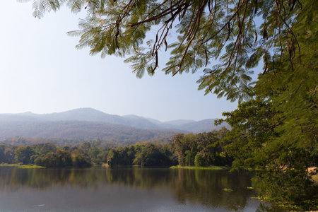 view of mountain and the pond in the parkの写真素材